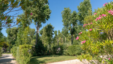 Camping Verébleu, les hébergements, emplacement nu