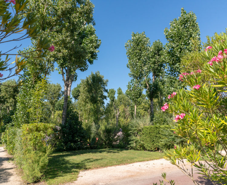 Camping Verébleu, les hébergements, emplacement nu