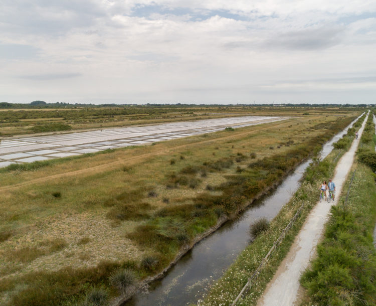 Région, vue aérienne des marais de l’île d\'Oléron, cyclistes