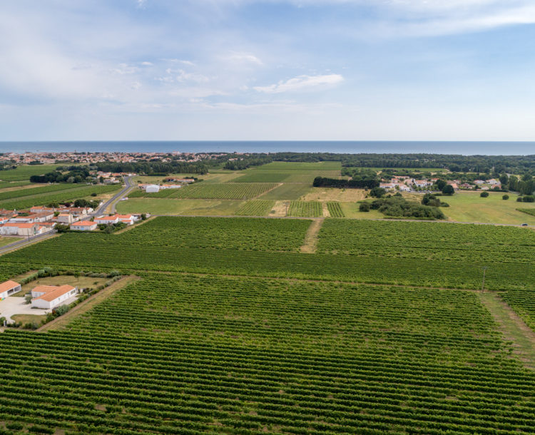 Région, Vue aérienne de l’île d\'Oléron