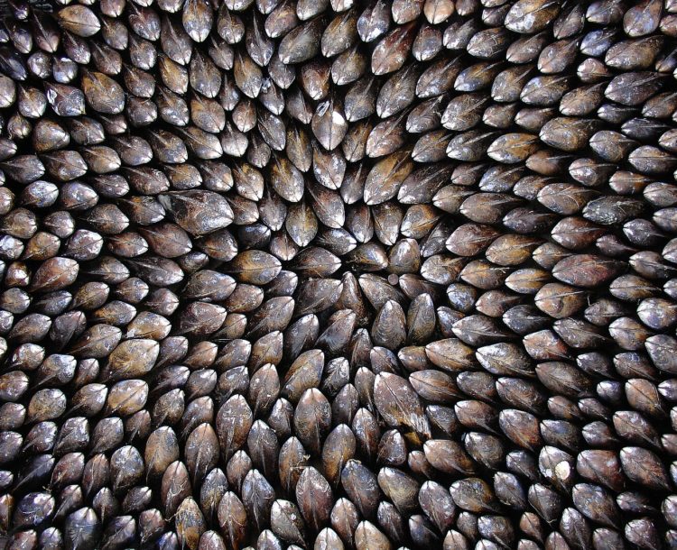 Par Anthony45 — Travail personnel, CC BY-SA 3.0, https://commons.wikimedia.org/w/index.php?curid=3814142